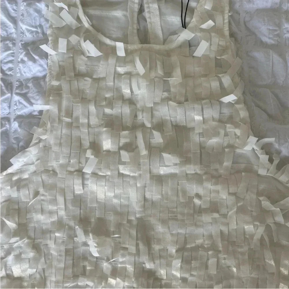 Zara metallic fringe mini dress - Picture 8 of 9